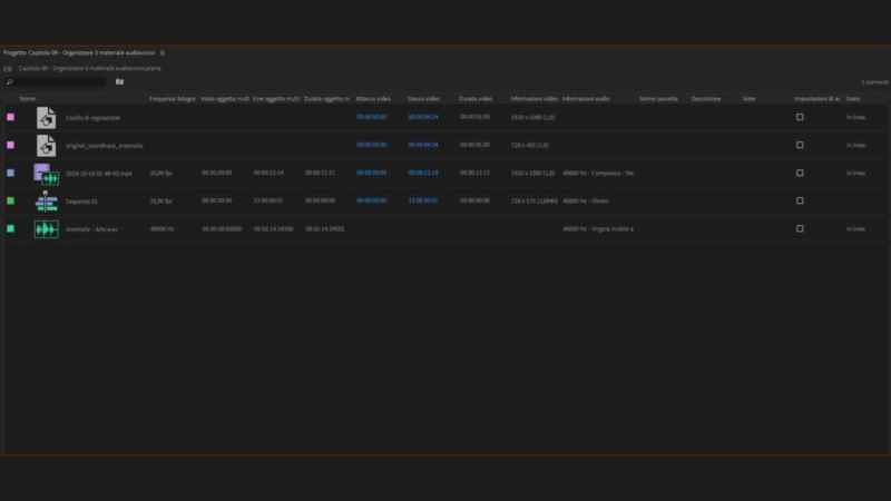Organizzare il materiale multimediale in Adobe Premiere 2019: il pannello progetto