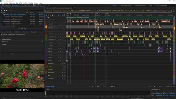 Importare un progetto video Adobe Premiere in Adobe Audition