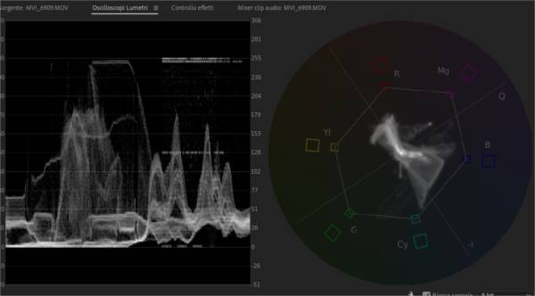 Color Correction in Adobe Premiere Pro - Vettorscopio e forma d'onda