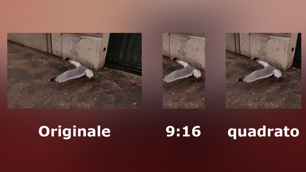 Auto Reframe in Adobe Premiere 2020