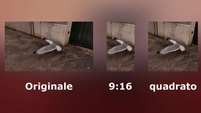 Auto Reframe in Adobe Premiere 2020