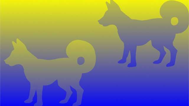 Color correction: illusioni ottiche