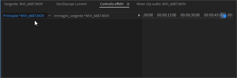 Applicare un effetto video o una color correction direttamente alle immagini sorgente in Adobe Premiere Pro