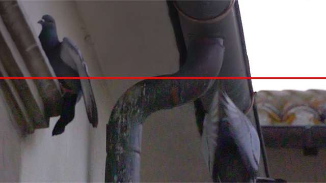 Come rimuovere il rumore video in Adobe Premiere Pro