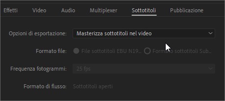 Come esportare un video con sottotitoli con Adobe Premiere Pro