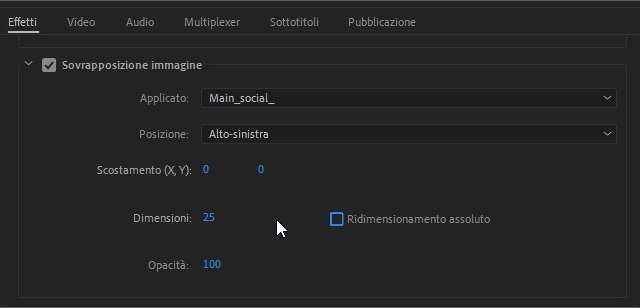 Impostazioni di esportazione avanzate: sovrapporre immagini