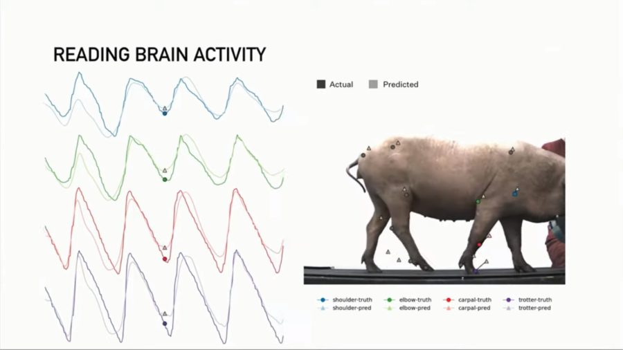 Con Neuronalink il cervello comunicherà con device esterni