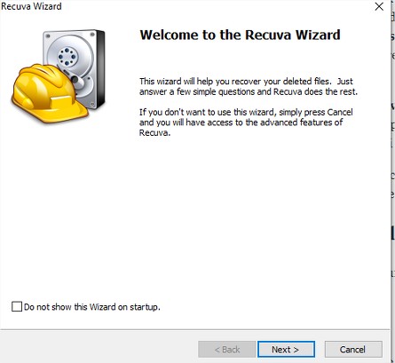Recurva, software per recupero dati: wizard