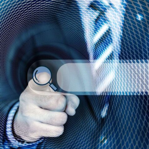 Ricerche su internet: foto, video, app, giochi e molto altro