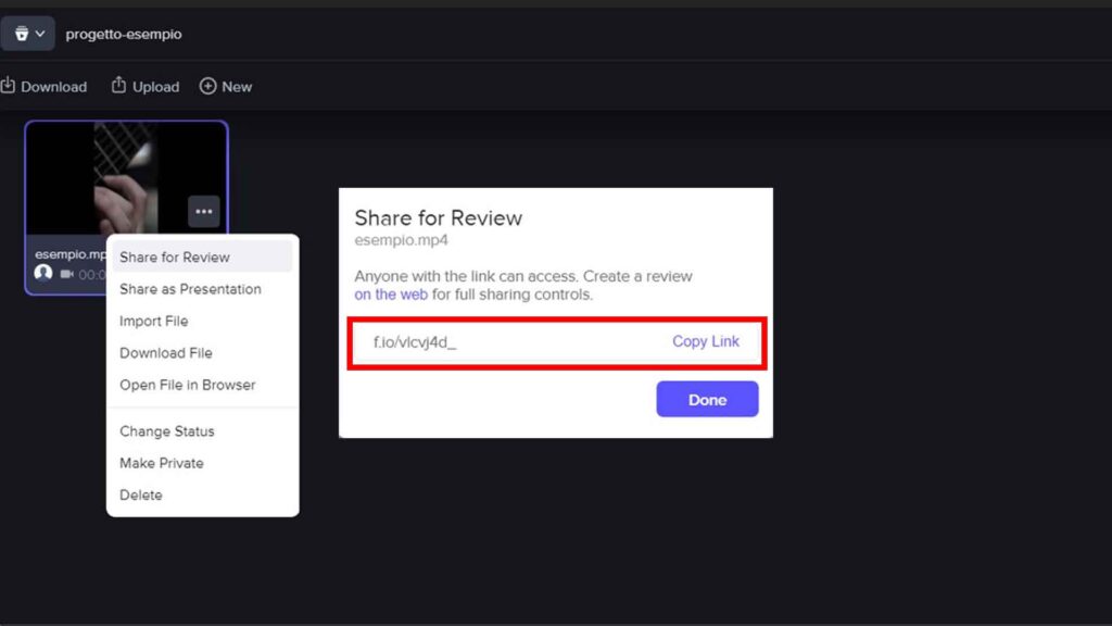 Frame.io e Premiere Pro: Step 9 - Prendi nota del link di condivisione
