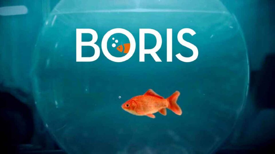 Boris: logo