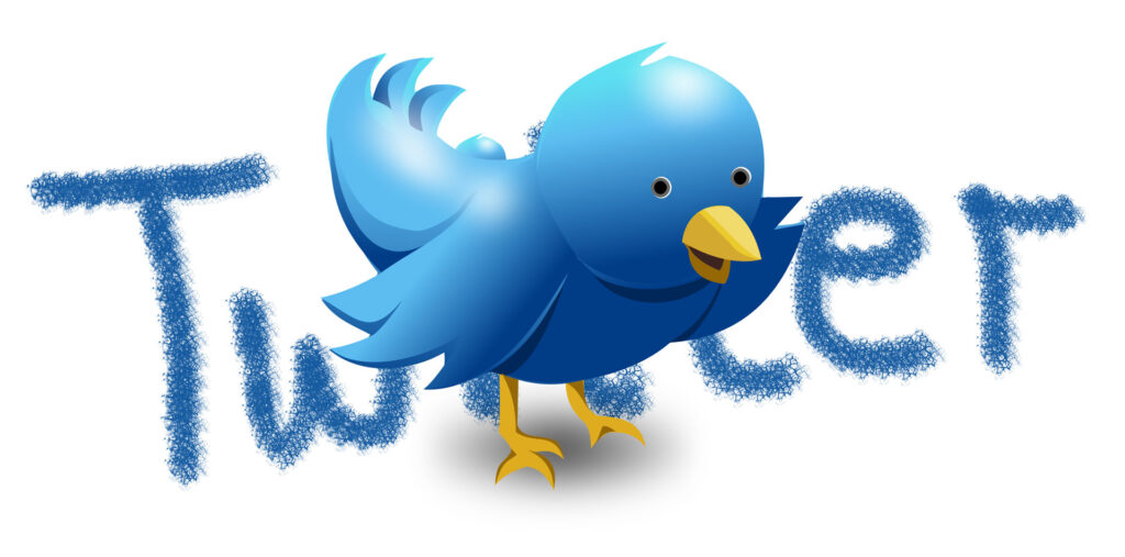Social Network: cos'è Twitter Blue?