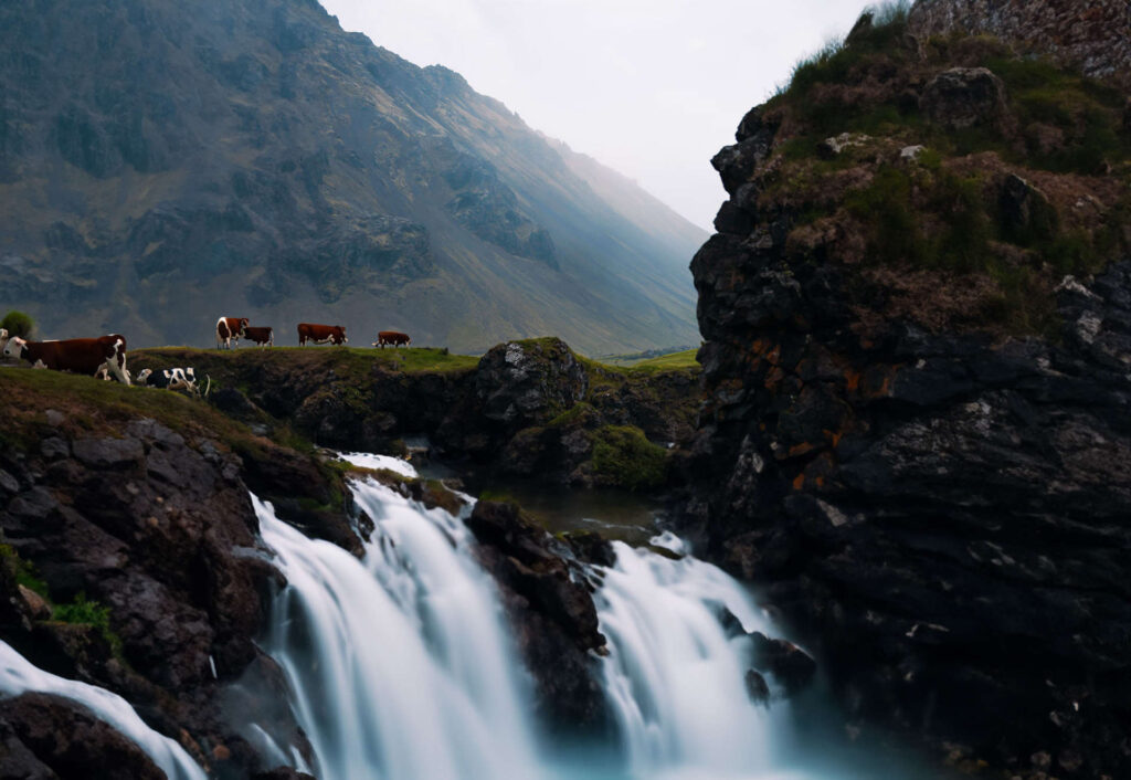 Novità Adobe Photoshop 2024: riempimento generativo con intelligenza artificiale