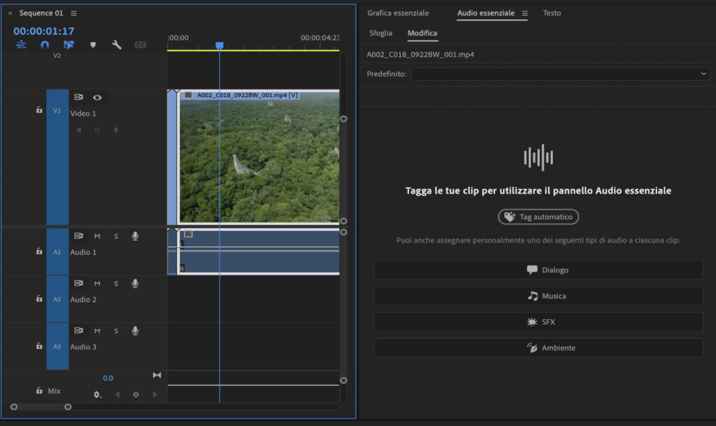 Adobe Premiere Pro - versione 14 - Assegnazione automatica tag audio